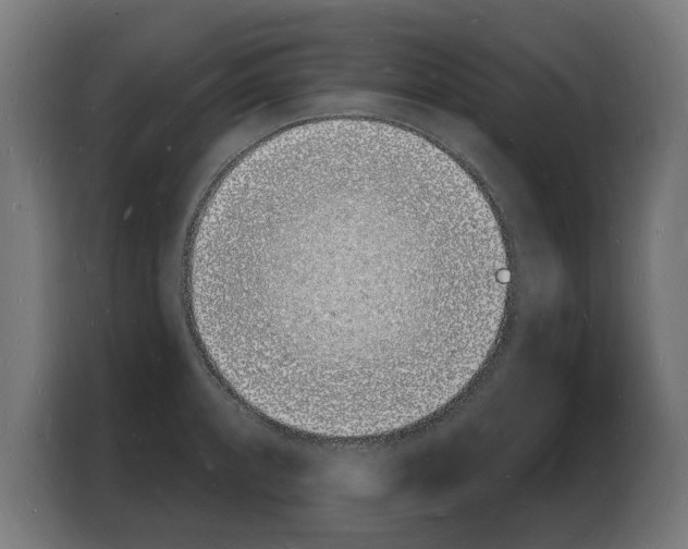 X0000103971088200810311520