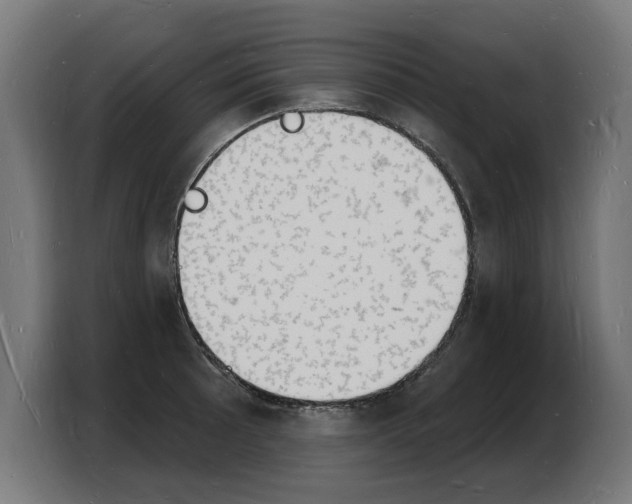 X0000103971089200810311520