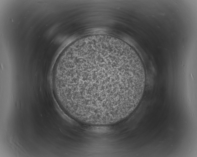 X0000103971090200810311519
