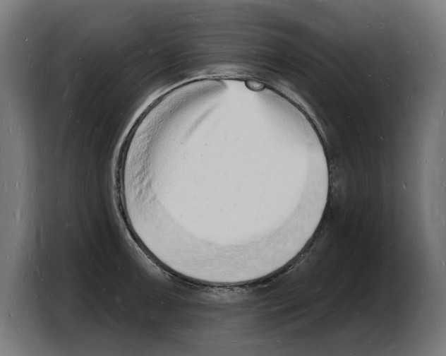 X0000103971091200810311519