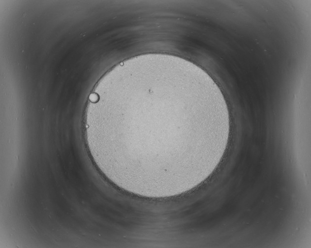 X0000103971092200810311519