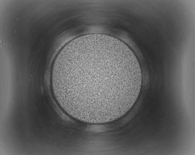 X0000103971094200810311519