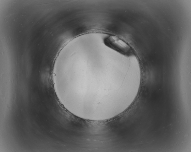X0000103971097200810311519