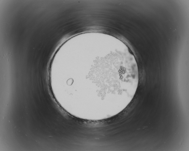 X0000103971099200810311519