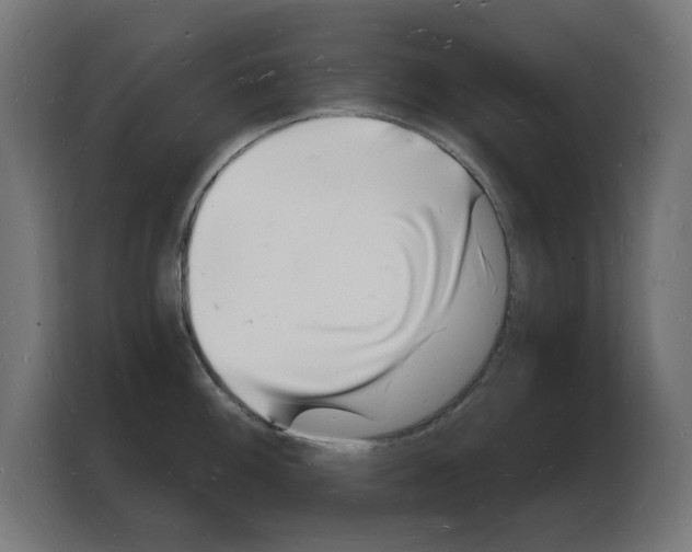 X0000103971100200810311519