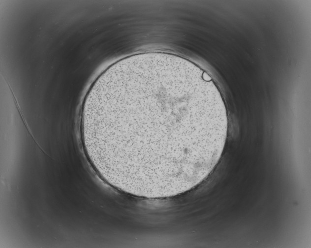 X0000103971102200810311519