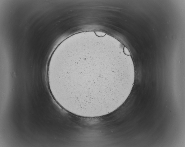 X0000103971103200810311519