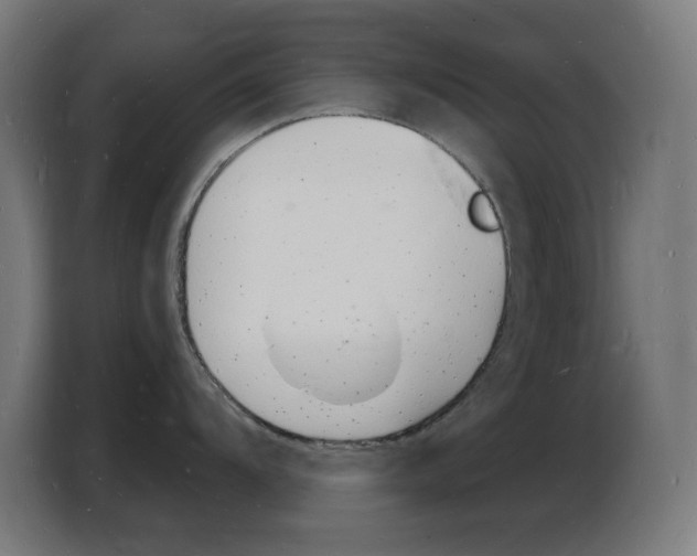 X0000103971104200810311519