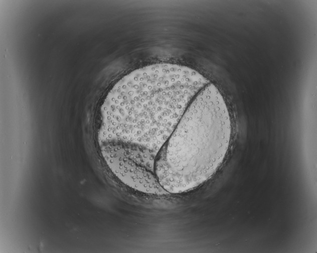 X0000103971105200810311519