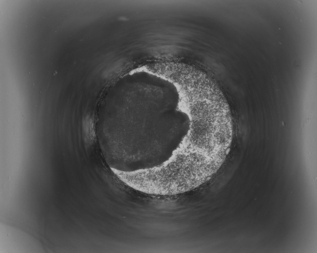 X0000103971106200810311519