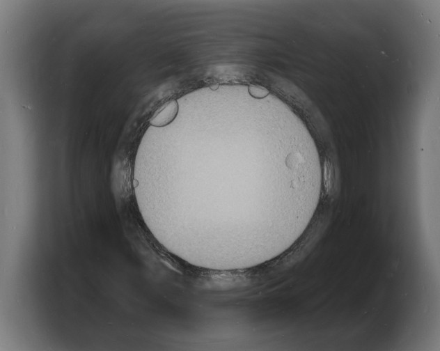 X0000103971107200810311519