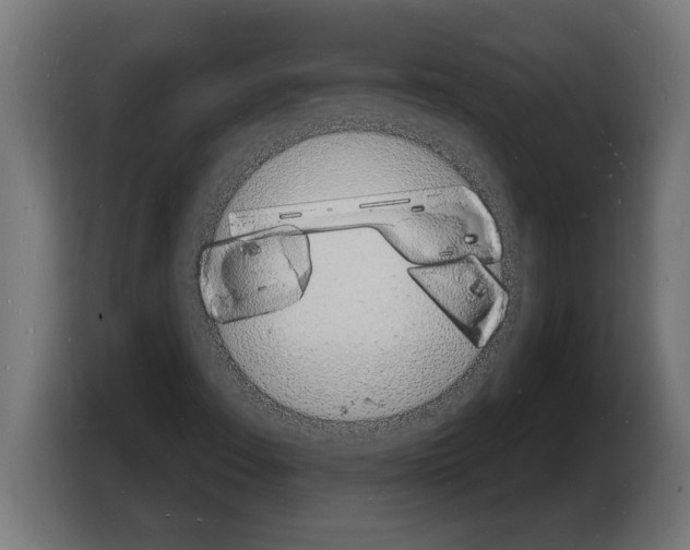 X0000103971108200810311519