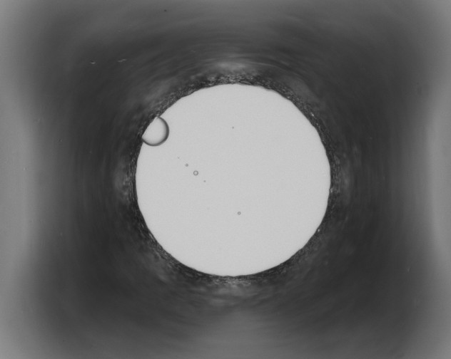 X0000103971109200810311519