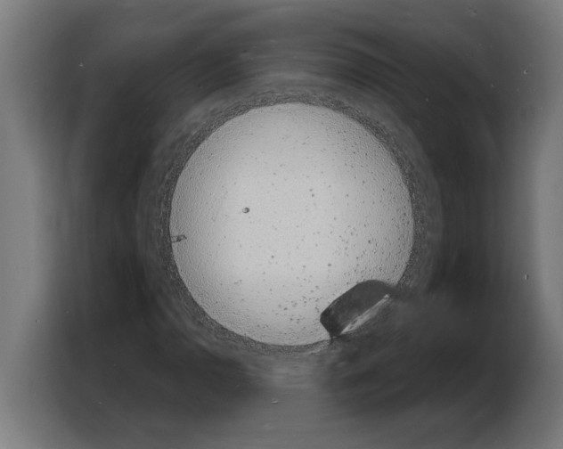 X0000103971110200810311519