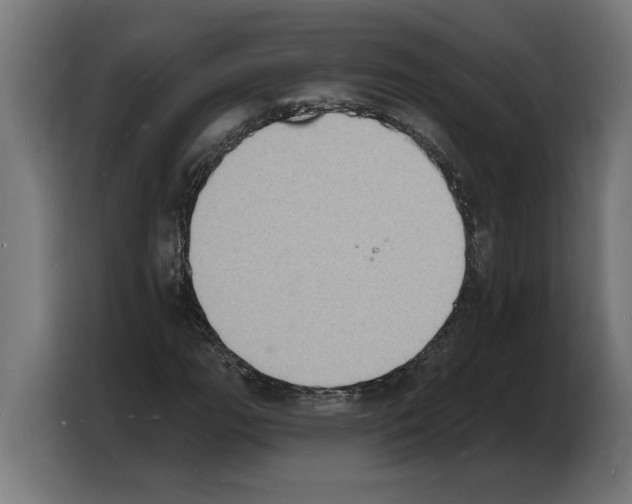 X0000103971111200810311519