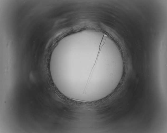 X0000103971112200810311519
