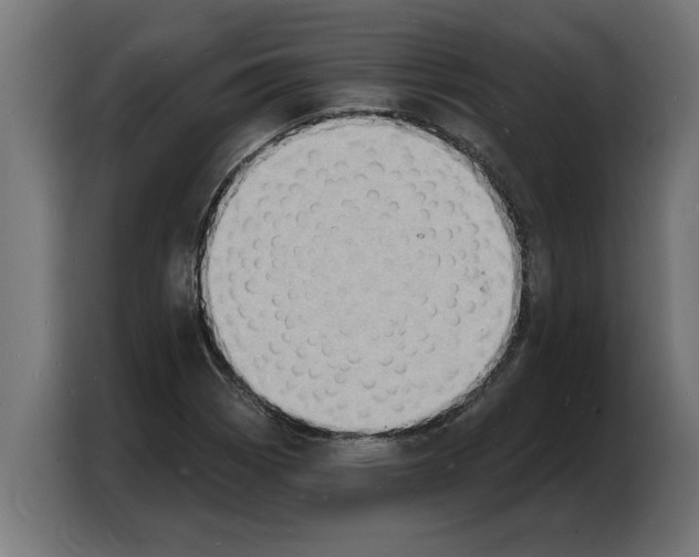 X0000103971113200810311519