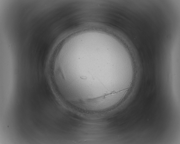 X0000103971114200810311519