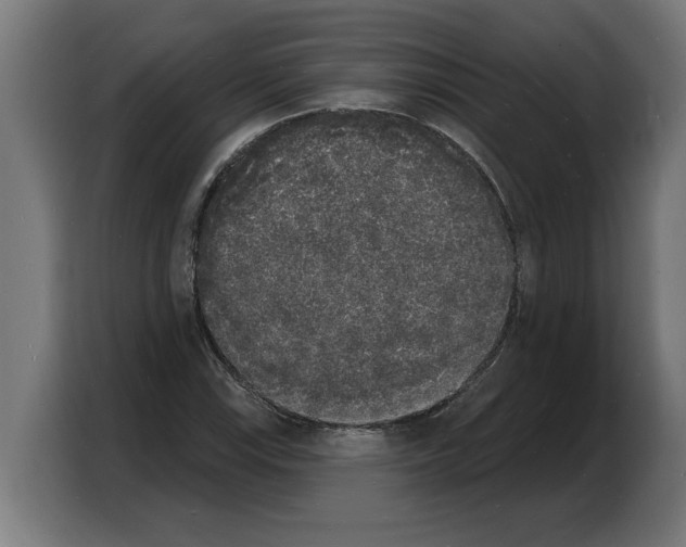 X0000103971115200810311519