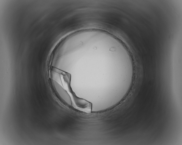 X0000103971116200810311519