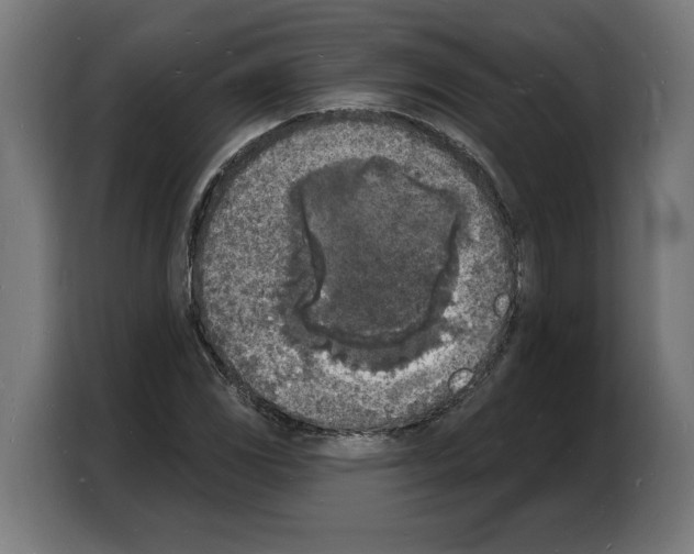 X0000103971117200810311519