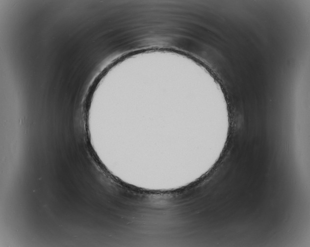 X0000103971118200810311519