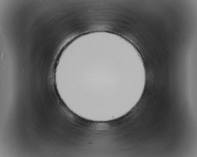 X0000103971119200810311519