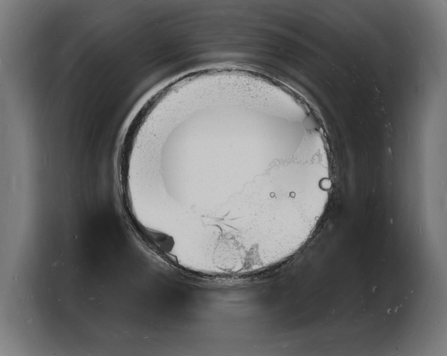 X0000103971120200810311519