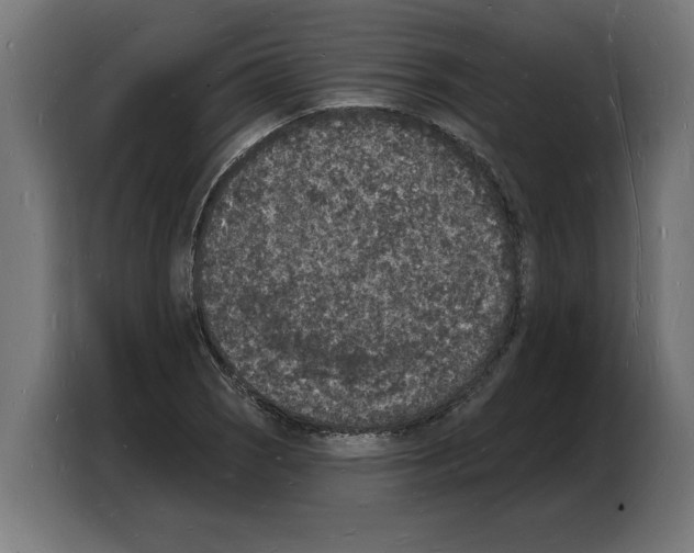 X0000103971121200810311519