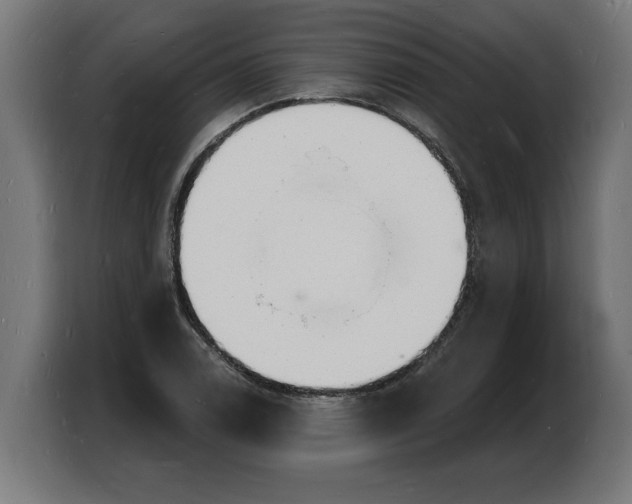 X0000103971122200810311519
