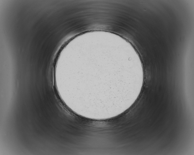 X0000103971123200810311519