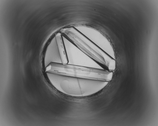 X0000103971124200810311519