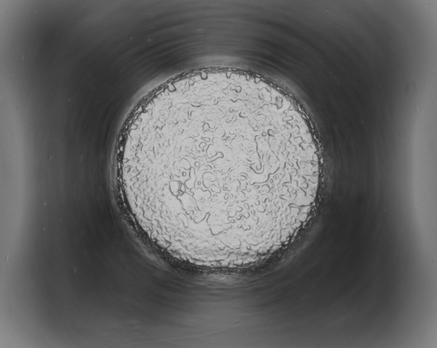 X0000103971125200810311519