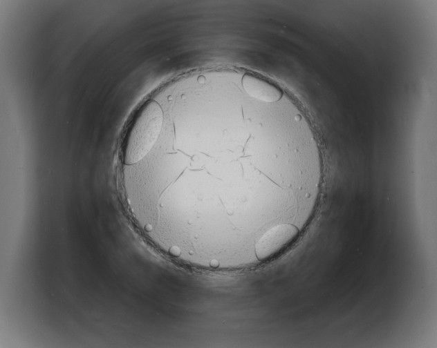 X0000103971126200810311519