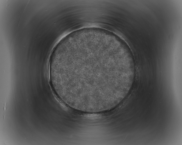 X0000103971127200810311519
