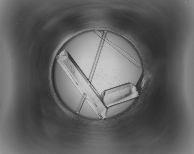 X0000103971128200810311519