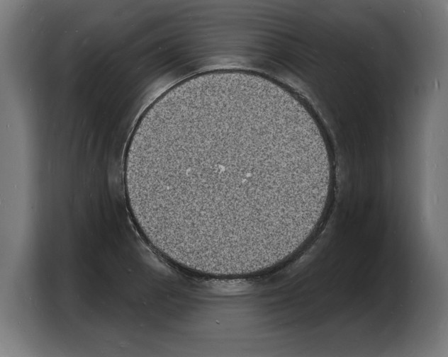 X0000103971129200810311519