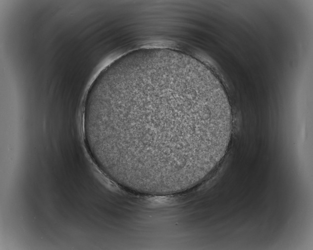 X0000103971130200810311519