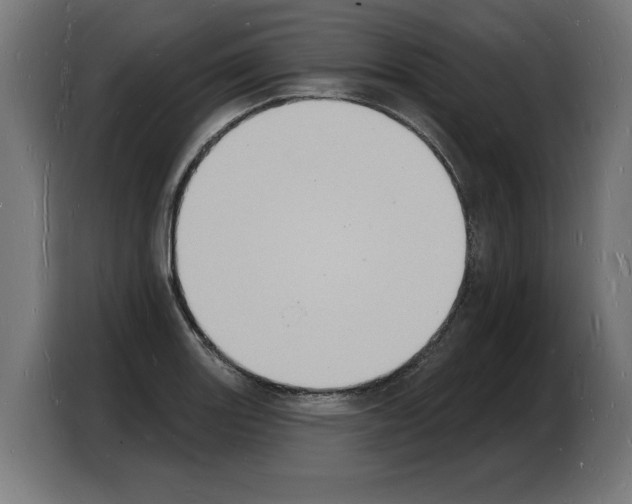 X0000103971131200810311519