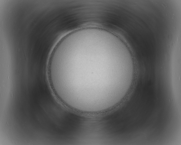 X0000103971132200810311519