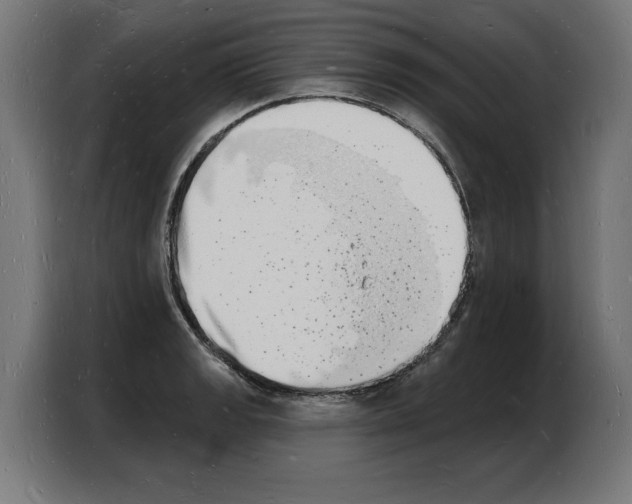 X0000103971133200810311519