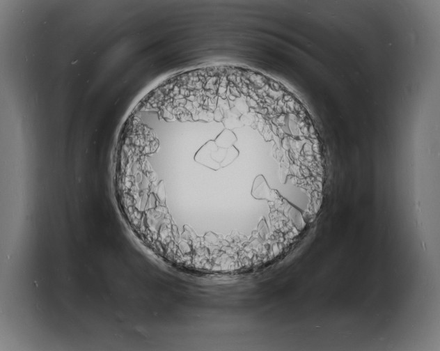 X0000103971134200810311519