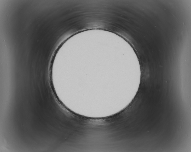 X0000103971135200810311519
