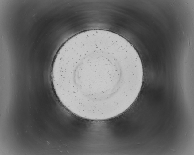 X0000103971136200810311519
