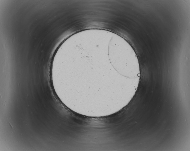 X0000103971138200810311519