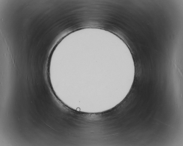 X0000103971139200810311519