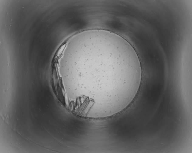 X0000103971140200810311519