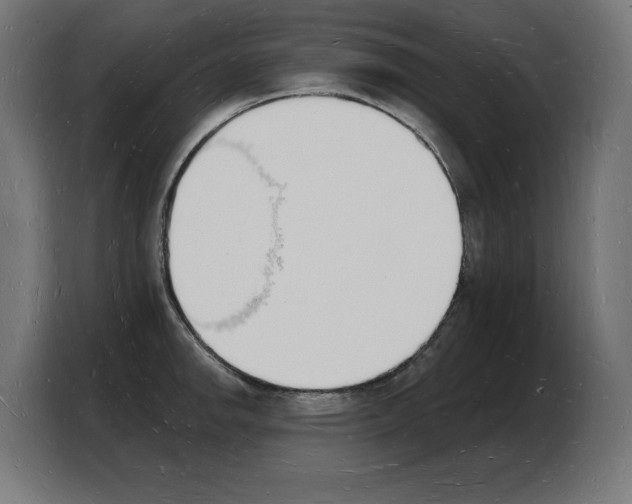 X0000103971142200810311519