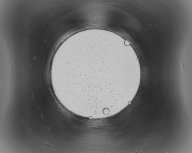 X0000103971143200810311519