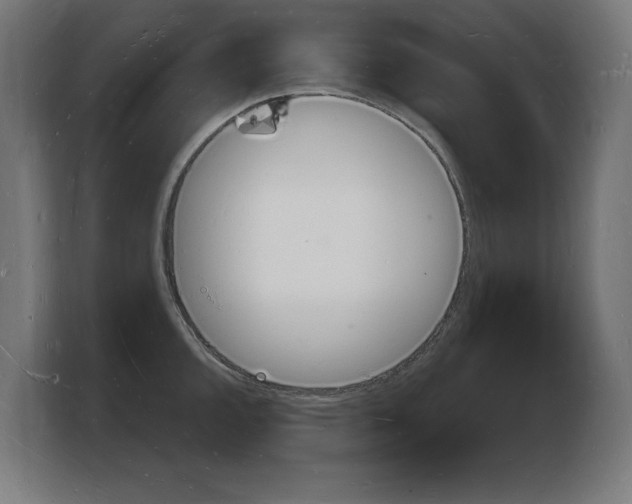 X0000103971144200810311519